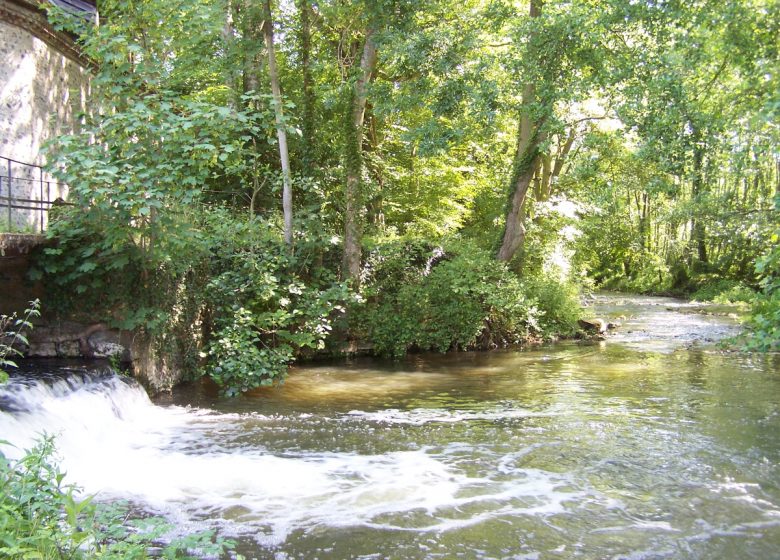 Le tour de Condé