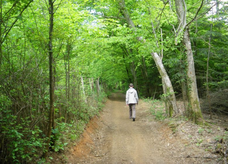 Sur la route de Condate