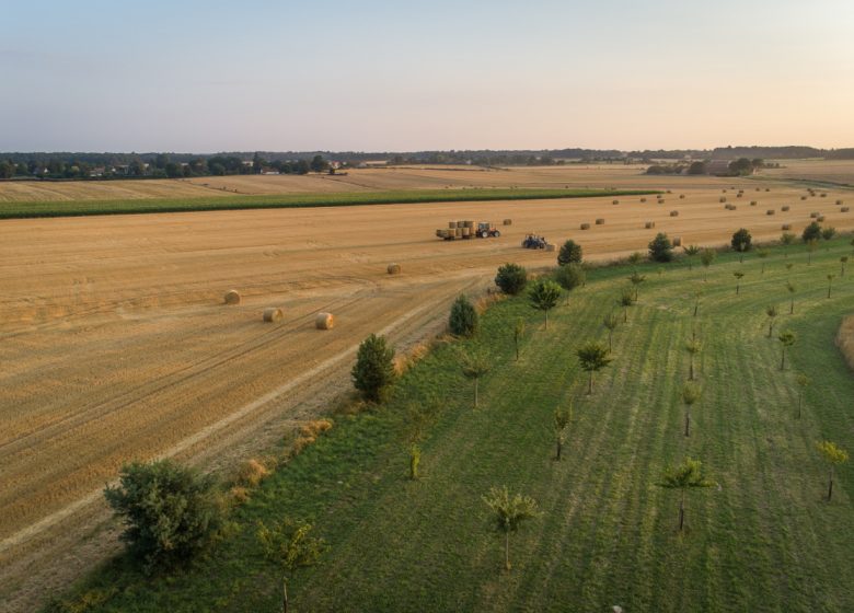 Entre la Risle et l’Iton