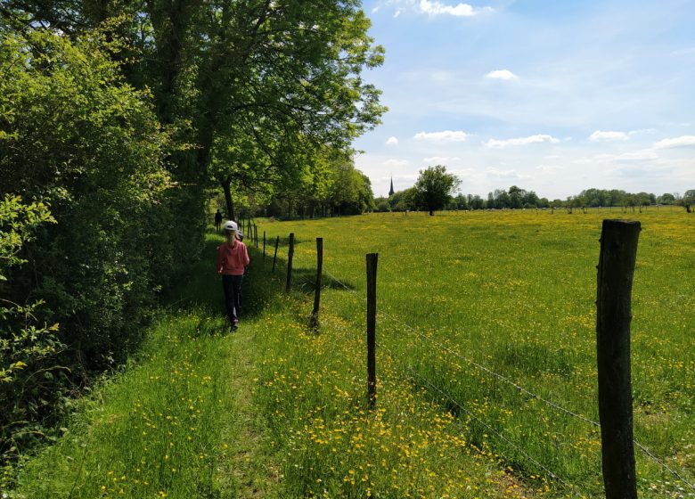 Le chemin des Isles