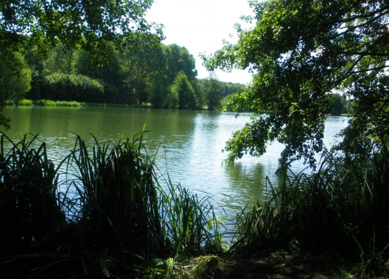 Le sentier le Bord de l’eau