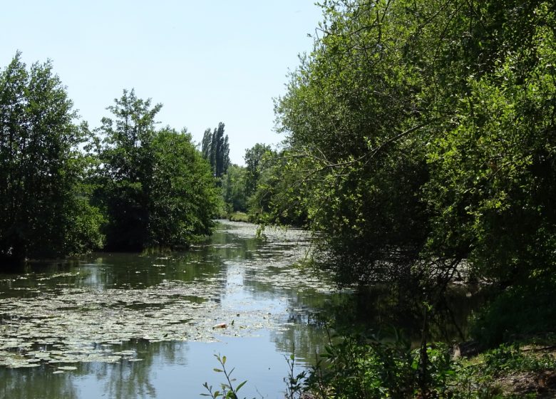 D’Ambenay à l’Ecureuil