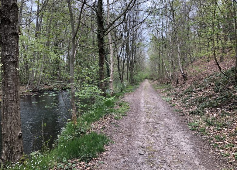 Sur les terres du marquis de Courteilles