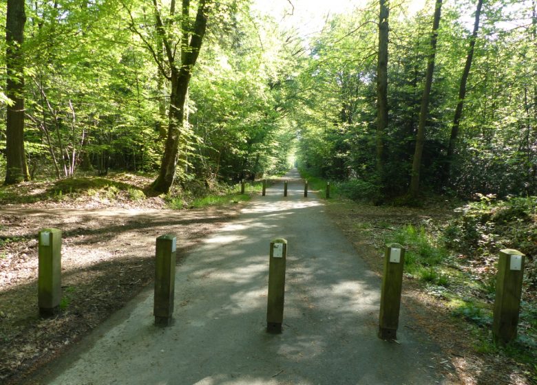 Groene weg van de Bois Francs