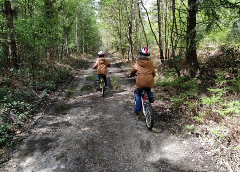 Auf dem Weg nach Trou Normand