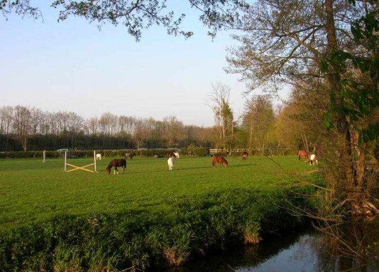 Groepsaccommodatie De huizen van de Chérottes