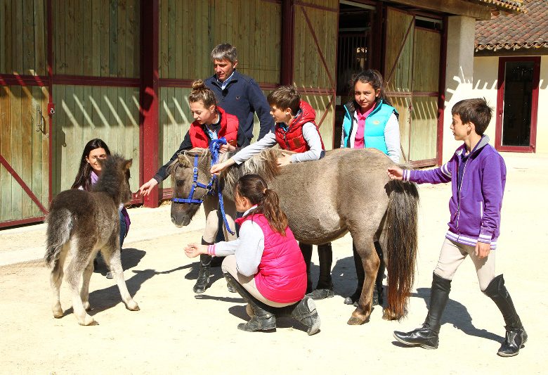 Verneuil-sur-Avre Equestrian Center