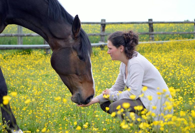 Verneuil-sur-Avre Equestrian Center