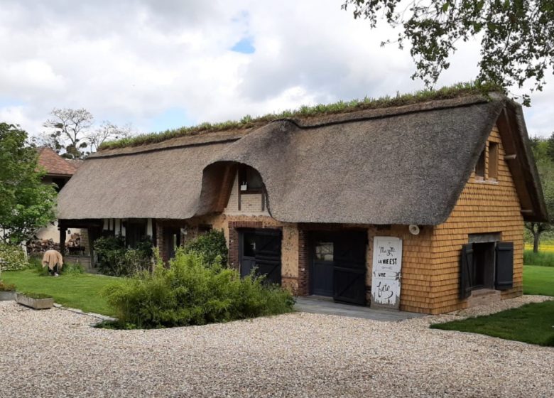 Iton Thatched cottage