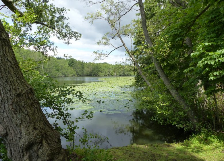 Le Sentier du Héron
