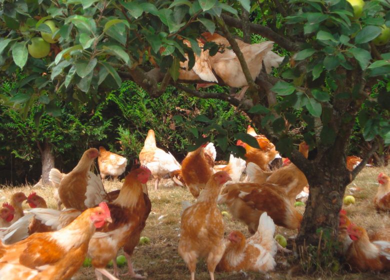 De biologische boerderij van Lyres