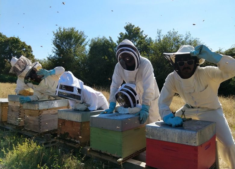 Pädagogisches Bienenhaus von Authieux