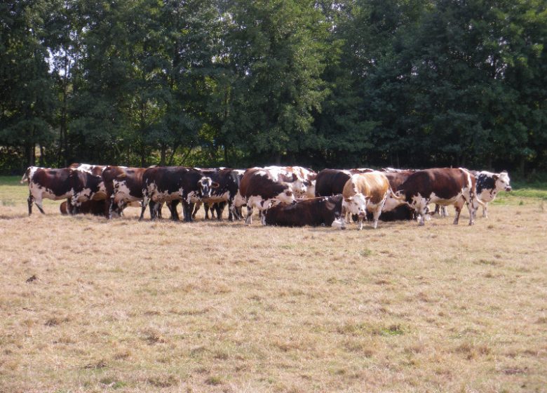 De boerderij van Puiseau