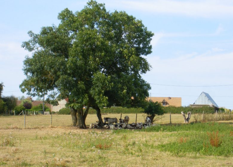 Der Bauernhof Puiseau