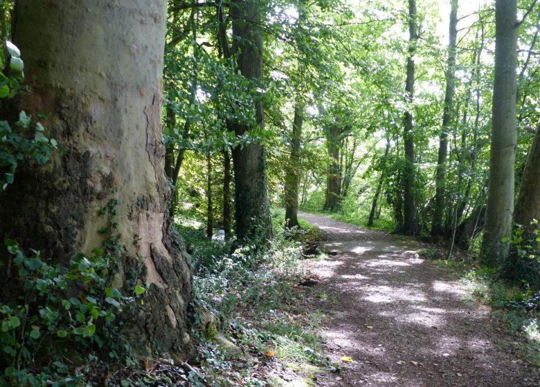 Parcours de découverte « Avre de Nature »