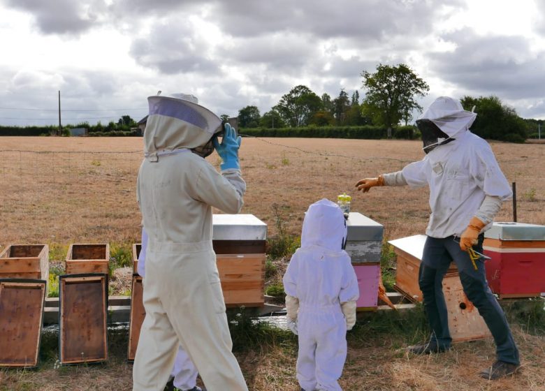 Pädagogisches Bienenhaus von Authieux