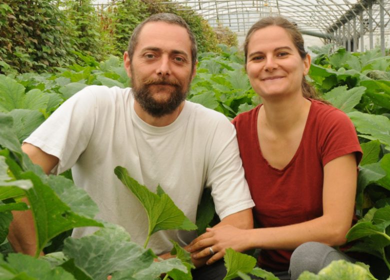 Marcel's greenhouses