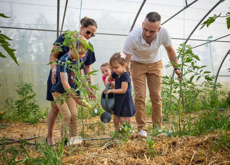 Vegetable garden of the Domaine de Chambray