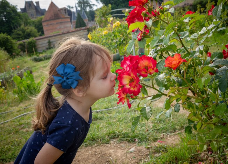 Vegetable garden of the Domaine de Chambray