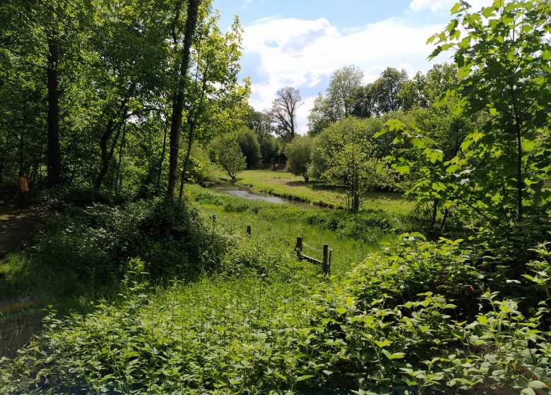 Sentier de la Bergeronnette