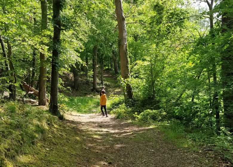 Sentier de la Bergeronnette