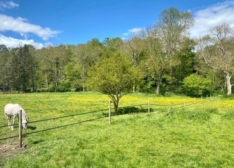 Les écuries de Villalet